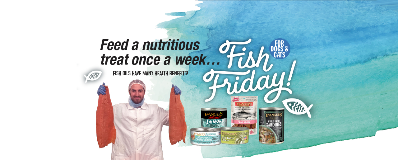 Evangers Fish Friday Benefits of Salmon for Fish